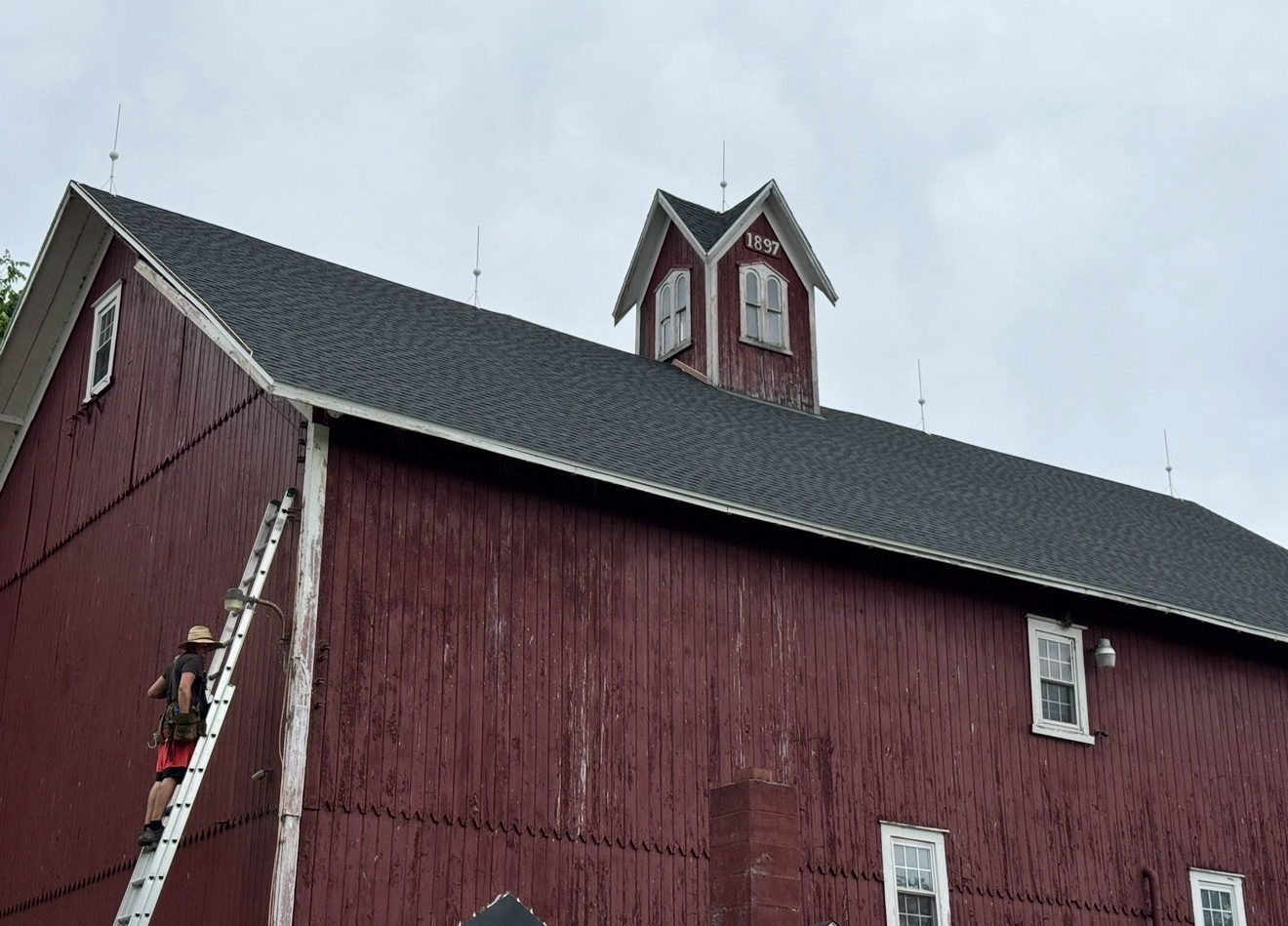 Historic red dairy barn built in 1897 with lightning rods on the roof and a crew member on a ladder